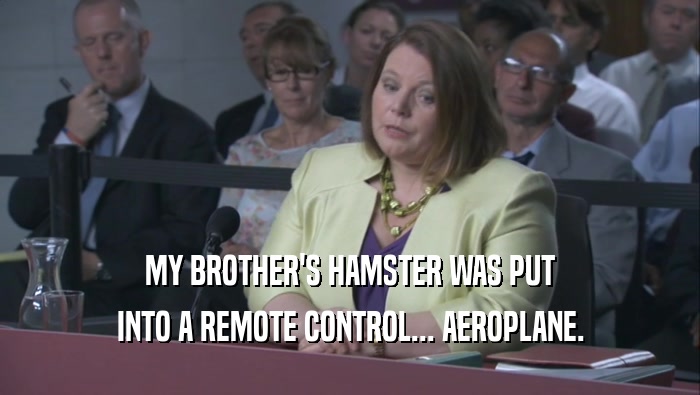 MY BROTHER'S HAMSTER WAS PUT INTO A REMOTE CONTROL... AEROPLANE. 