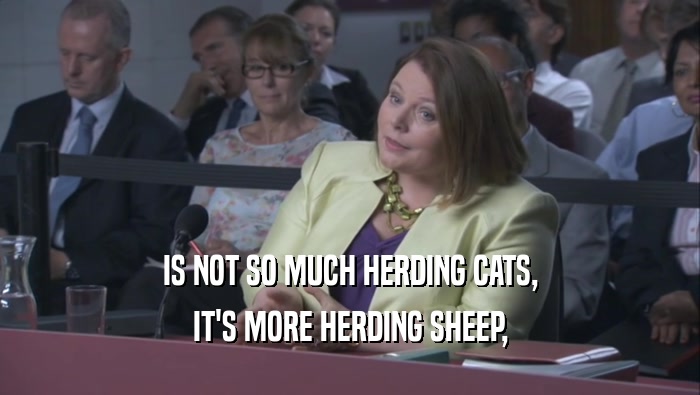 IS NOT SO MUCH HERDING CATS, IT'S MORE HERDING SHEEP, 