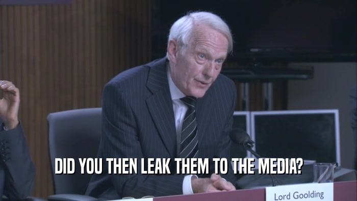 DID YOU THEN LEAK THEM TO THE MEDIA?
  