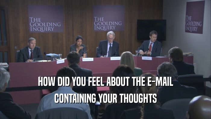HOW DID YOU FEEL ABOUT THE E-MAIL CONTAINING YOUR THOUGHTS 