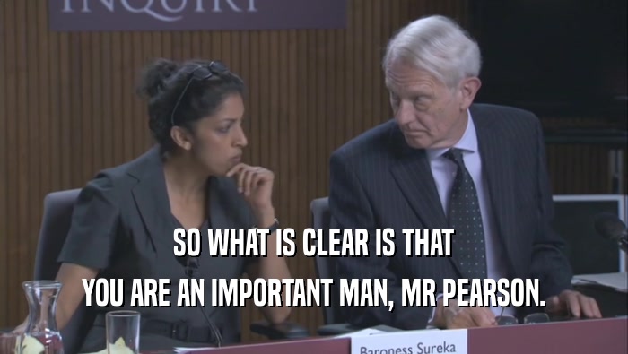 SO WHAT IS CLEAR IS THAT YOU ARE AN IMPORTANT MAN, MR PEARSON. 