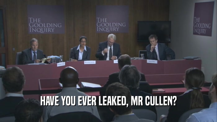 HAVE YOU EVER LEAKED, MR CULLEN?  