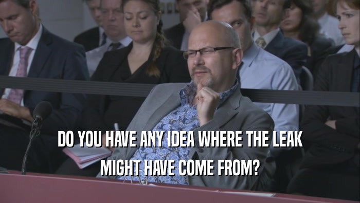 DO YOU HAVE ANY IDEA WHERE THE LEAK MIGHT HAVE COME FROM? 