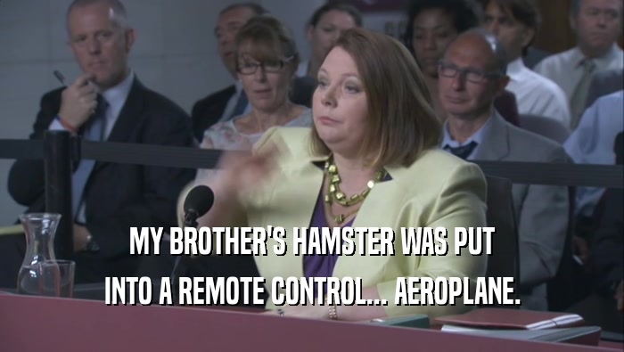 MY BROTHER'S HAMSTER WAS PUT INTO A REMOTE CONTROL... AEROPLANE. 
