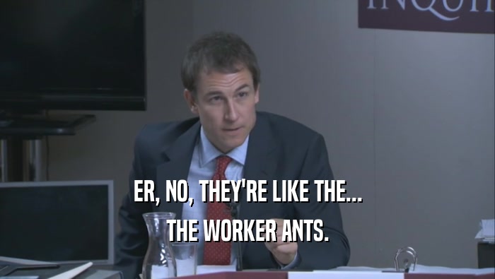 ER, NO, THEY'RE LIKE THE... THE WORKER ANTS. 