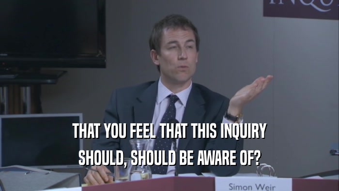 THAT YOU FEEL THAT THIS INQUIRY SHOULD, SHOULD BE AWARE OF? 
