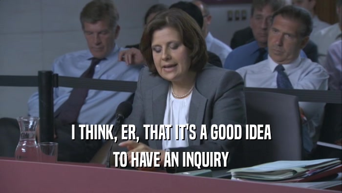 I THINK, ER, THAT IT'S A GOOD IDEA TO HAVE AN INQUIRY 