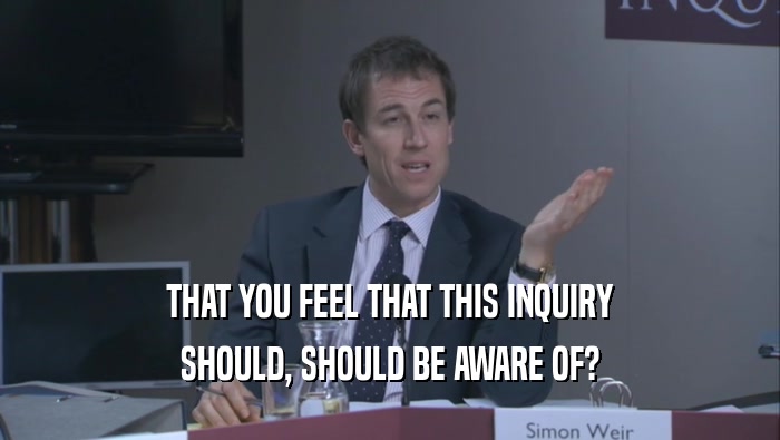 THAT YOU FEEL THAT THIS INQUIRY SHOULD, SHOULD BE AWARE OF? 