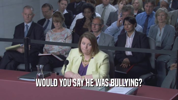 WOULD YOU SAY HE WAS BULLYING?  