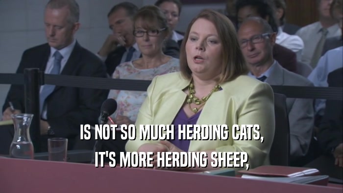 IS NOT SO MUCH HERDING CATS, IT'S MORE HERDING SHEEP, 
