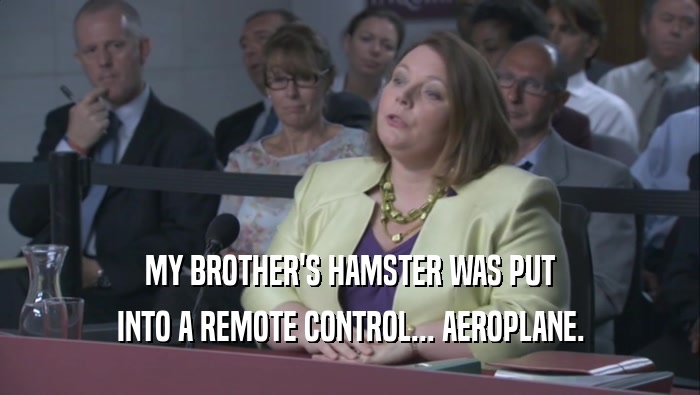 MY BROTHER'S HAMSTER WAS PUT INTO A REMOTE CONTROL... AEROPLANE. 