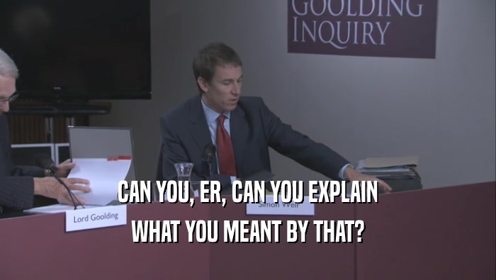CAN YOU, ER, CAN YOU EXPLAIN WHAT YOU MEANT BY THAT? 