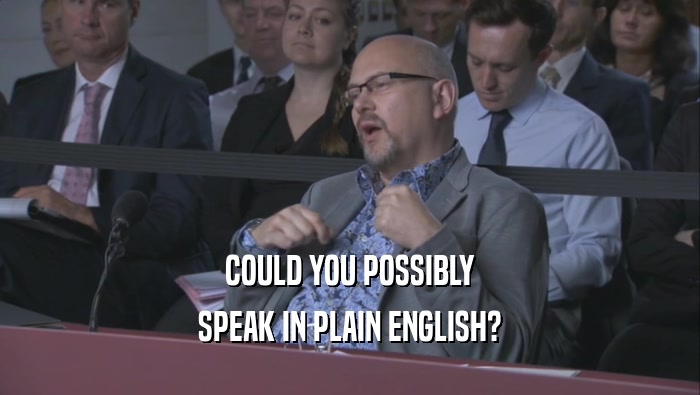 COULD YOU POSSIBLY SPEAK IN PLAIN ENGLISH? 