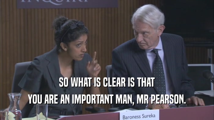 SO WHAT IS CLEAR IS THAT YOU ARE AN IMPORTANT MAN, MR PEARSON. 