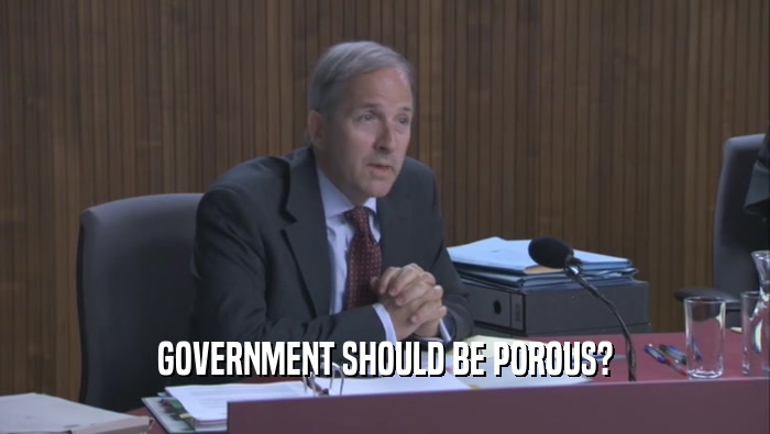GOVERNMENT SHOULD BE POROUS?  