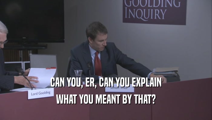 CAN YOU, ER, CAN YOU EXPLAIN WHAT YOU MEANT BY THAT? 