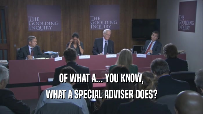OF WHAT A... YOU KNOW, WHAT A SPECIAL ADVISER DOES? 