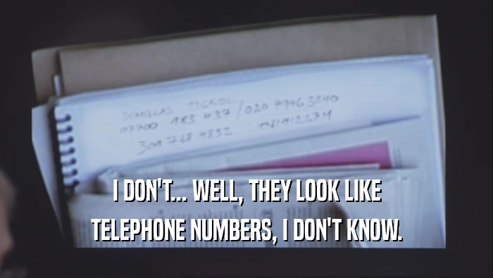I DON'T... WELL, THEY LOOK LIKE TELEPHONE NUMBERS, I DON'T KNOW. 