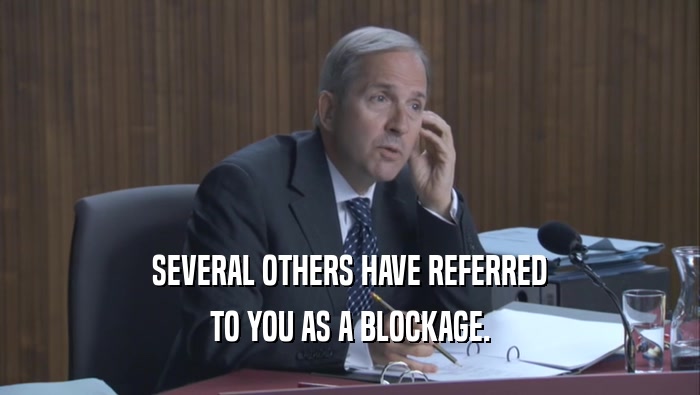 SEVERAL OTHERS HAVE REFERRED
 TO YOU AS A BLOCKAGE.
 