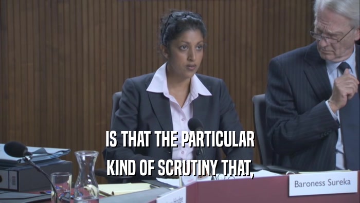 IS THAT THE PARTICULAR KIND OF SCRUTINY THAT, 