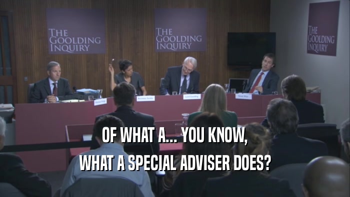 OF WHAT A... YOU KNOW, WHAT A SPECIAL ADVISER DOES? 