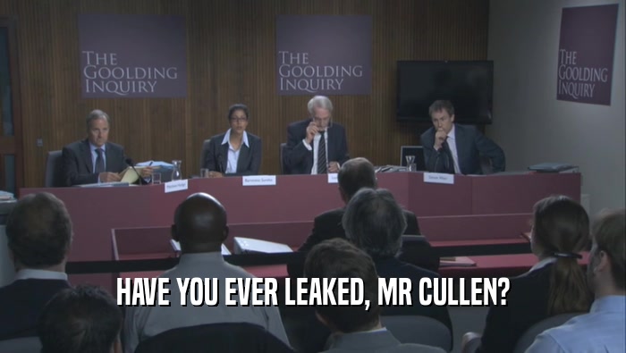 HAVE YOU EVER LEAKED, MR CULLEN?  