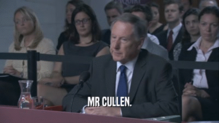 MR CULLEN.  