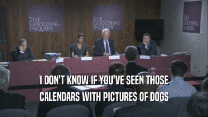 I DON'T KNOW IF YOU'VE SEEN THOSE CALENDARS WITH PICTURES OF DOGS CALENDARS WITH PICTURES OF DOGS