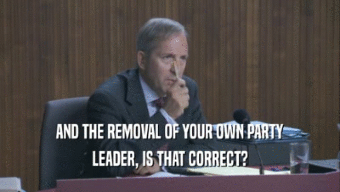 AND THE REMOVAL OF YOUR OWN PARTY LEADER, IS THAT CORRECT? 