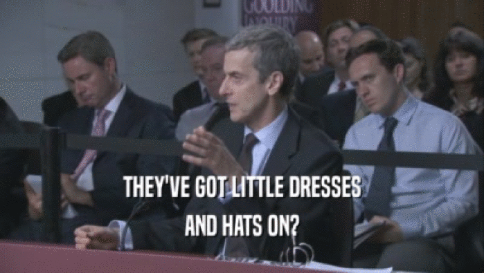 THEY'VE GOT LITTLE DRESSES AND HATS ON? 