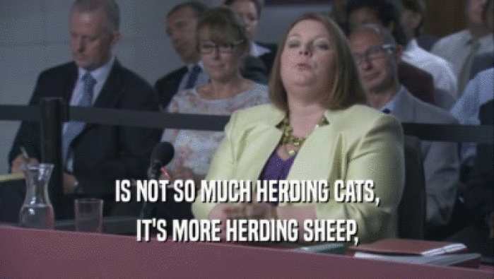 IS NOT SO MUCH HERDING CATS, IT'S MORE HERDING SHEEP, 