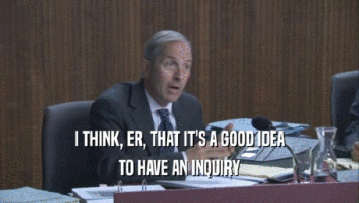 I THINK, ER, THAT IT'S A GOOD IDEA TO HAVE AN INQUIRY 
