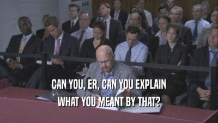 CAN YOU, ER, CAN YOU EXPLAIN WHAT YOU MEANT BY THAT? 