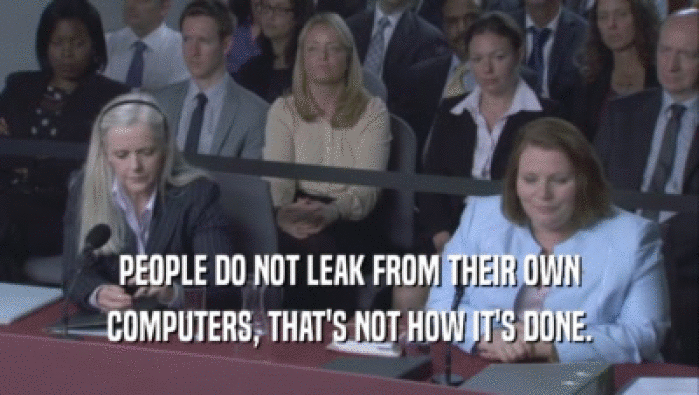 PEOPLE DO NOT LEAK FROM THEIR OWN COMPUTERS, THAT'S NOT HOW IT'S DONE. 
