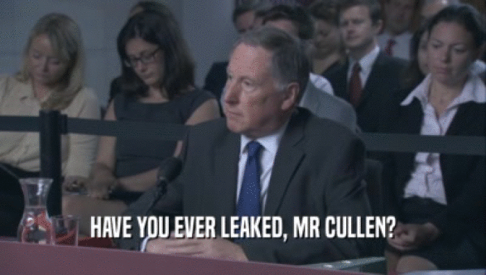 HAVE YOU EVER LEAKED, MR CULLEN?  