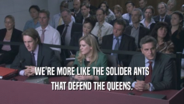 WE'RE MORE LIKE THE SOLIDER ANTS THAT DEFEND THE QUEENS. 