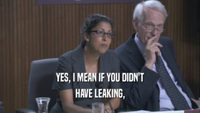 YES, I MEAN IF YOU DIDN'T HAVE LEAKING, 