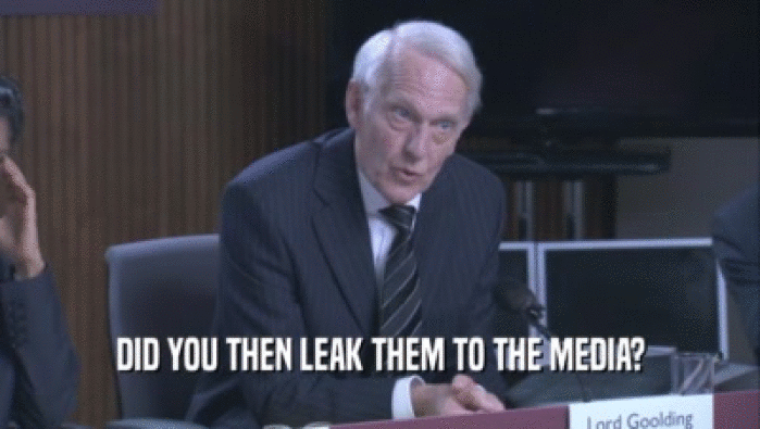 DID YOU THEN LEAK THEM TO THE MEDIA?
  