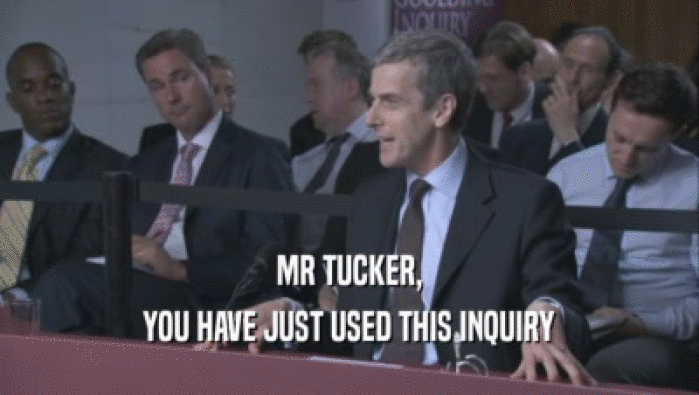 MR TUCKER,
 YOU HAVE JUST USED THIS INQUIRY
 