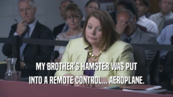 MY BROTHER'S HAMSTER WAS PUT INTO A REMOTE CONTROL... AEROPLANE. 