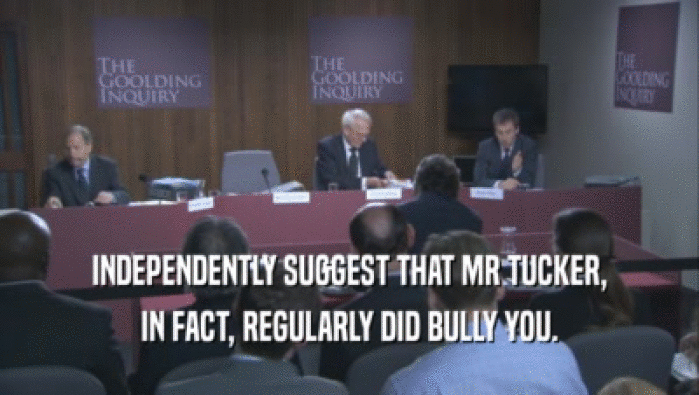 INDEPENDENTLY SUGGEST THAT MR TUCKER, IN FACT, REGULARLY DID BULLY YOU. 
