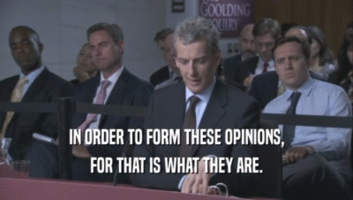 IN ORDER TO FORM THESE OPINIONS, FOR THAT IS WHAT THEY ARE. 