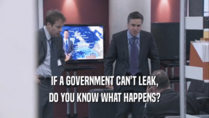 IF A GOVERNMENT CAN'T LEAK, DO YOU KNOW WHAT HAPPENS? 