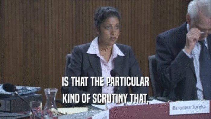 IS THAT THE PARTICULAR KIND OF SCRUTINY THAT, 