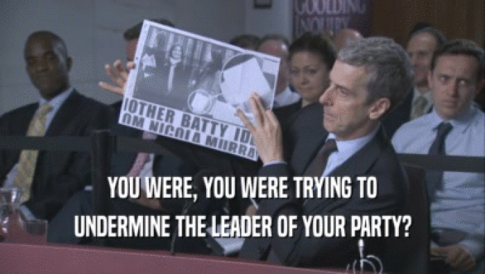 YOU WERE, YOU WERE TRYING TO UNDERMINE THE LEADER OF YOUR PARTY? 