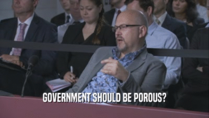 GOVERNMENT SHOULD BE POROUS?  
