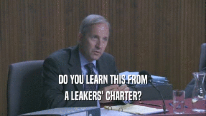 DO YOU LEARN THIS FROM A LEAKERS' CHARTER? 