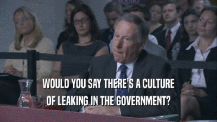 WOULD YOU SAY THERE'S A CULTURE OF LEAKING IN THE GOVERNMENT? 