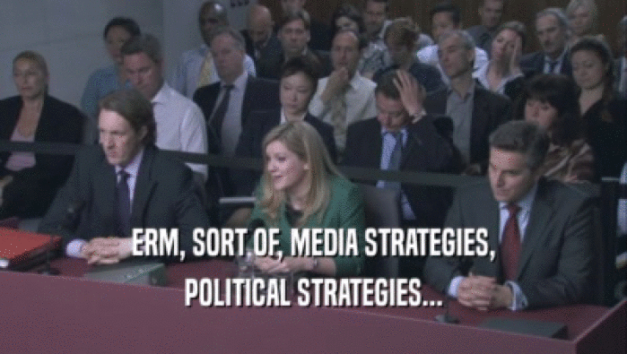 ERM, SORT OF, MEDIA STRATEGIES, POLITICAL STRATEGIES... 