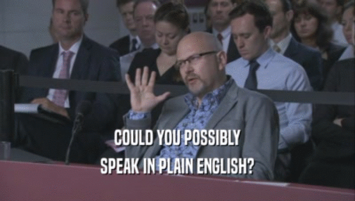 COULD YOU POSSIBLY SPEAK IN PLAIN ENGLISH? 